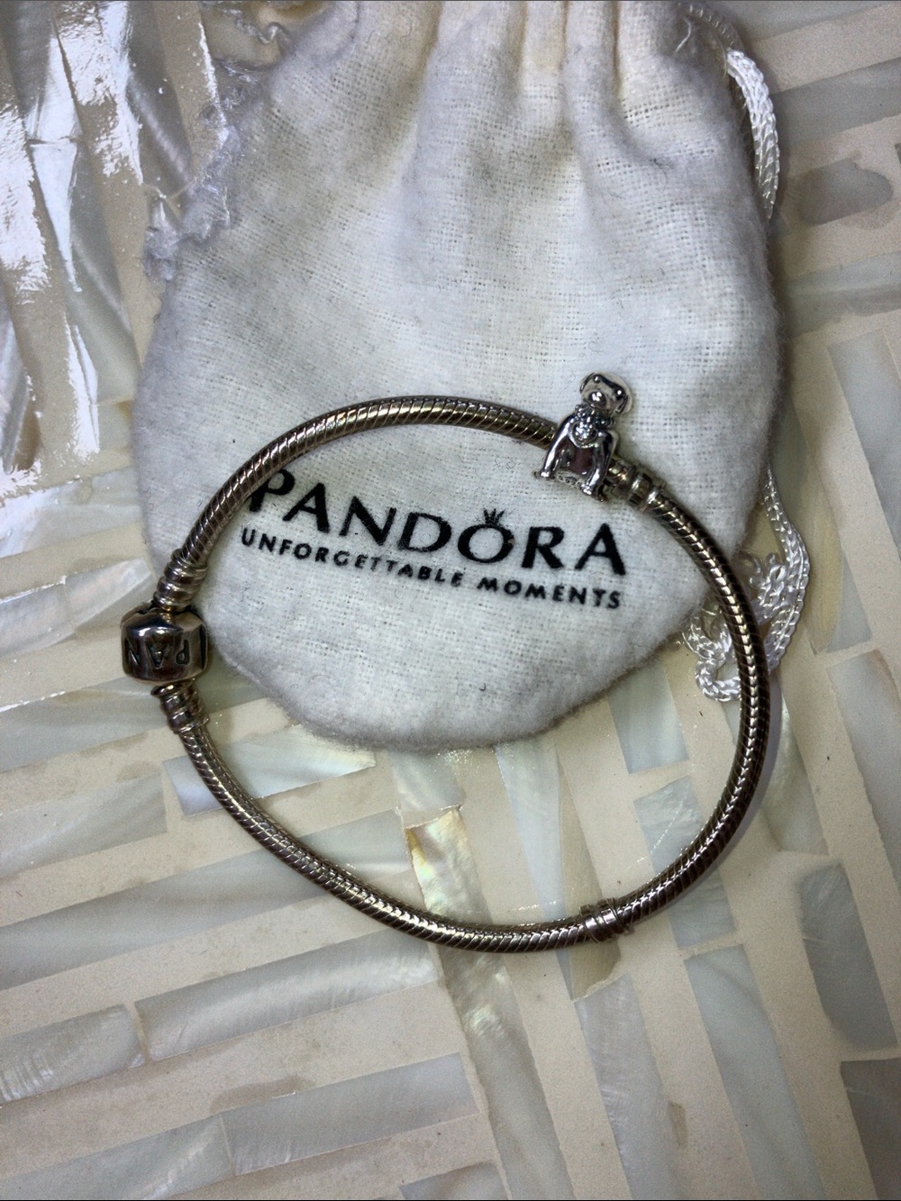 Pandora Silver 925  Bracelet with RETIRED LABRADOR DOG Charm